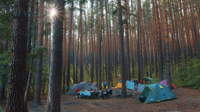 Family camping. Extended big family enjoy camping in the dry forest with pine trees
