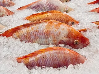 Tilapia is a popular freshwater fish that can be eaten in many dishes.