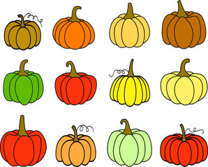 Hand drawn  pumpkins on white background