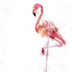 Beautiful abstract watercolor flamingo birds