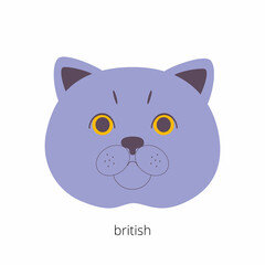 The cute face of the British shorthair cat. Vector illustration in a flat style. Image for design, postcards.