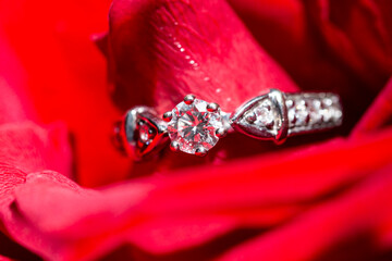 white gold ring with diamonds in red rose petals
