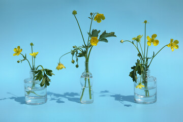 yellow flowers in a vase