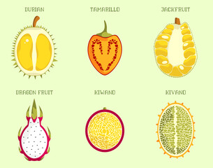 Set of illustrations of exotic fruits. Cut in half.