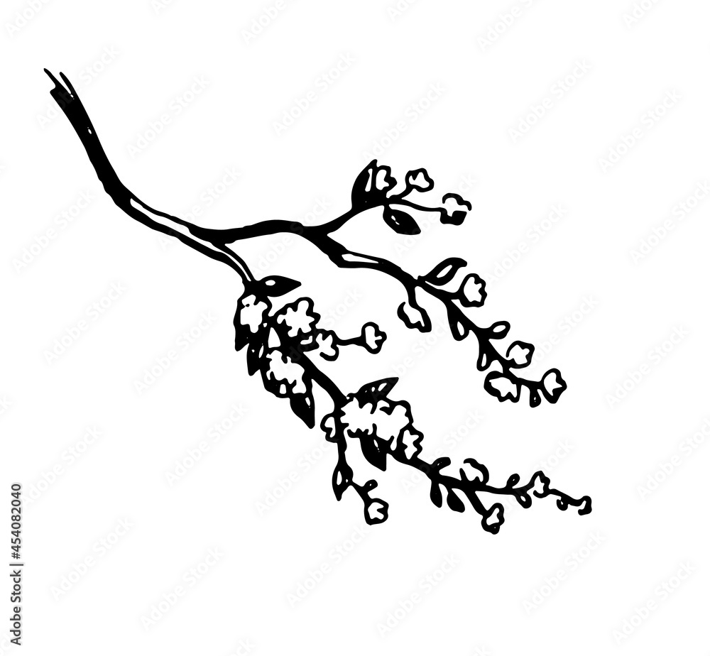 Canvas Prints blooming cherry tree branch.