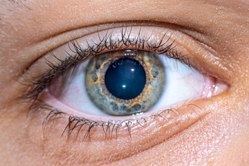 Fototapeta premium Close up Shot of Human Eye