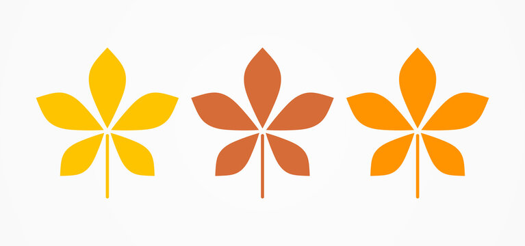 Autumn chestnut leaves on white background