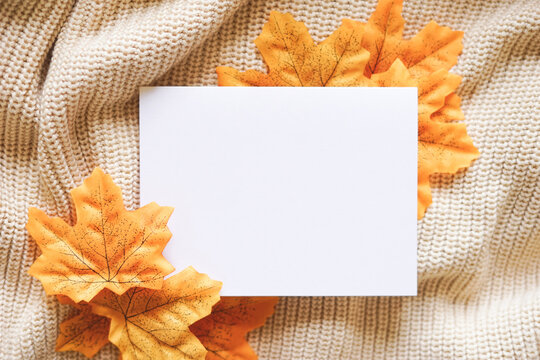 Blank white card on beige knit with yellow maples leaves. Autumn & fall theme composition. Thanksgiving holiday. Empty space for text. Copy space.