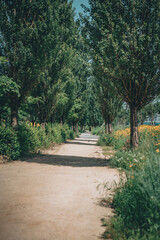 이촌동 한강 공원