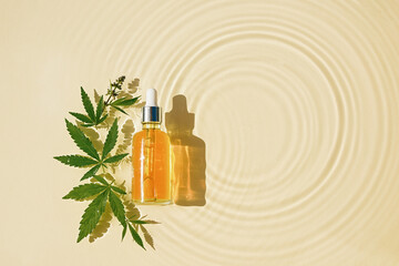 CBD oil bottle, cannabis leaves on oily background with drops