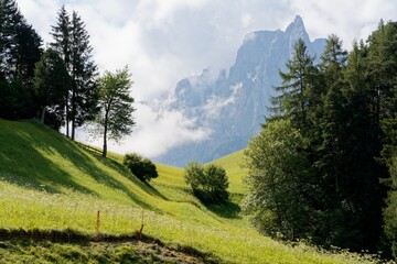 Gr&uuml;ne Almwiese mit B&uuml;schen und B&auml;umen vor grandioser Bergwelt der Dolomiten, S&uuml;dtirol, Italien