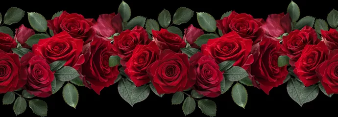  Seamless border with flowers. Red roses isolated on black background. © RinaM