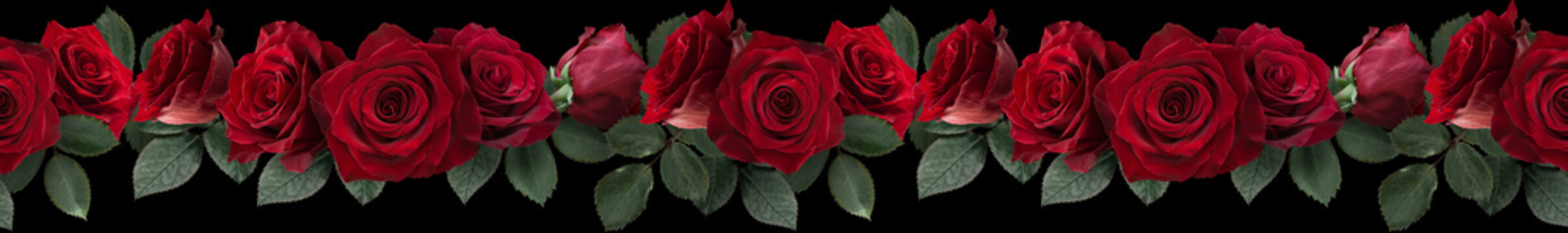 Seamless border with flowers. Red roses isolated on black background.