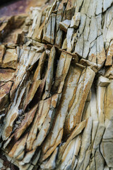 The rocky texture of an old sea stone.