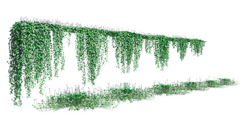 Climbing plants creepers isolated on white background 3d illustration © vik173