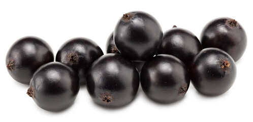black currant isolated on white background. macro. clipping path