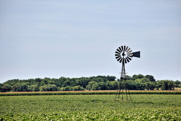 Cordova Road Cotton Field