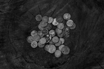A lot of very old coins in black and white
