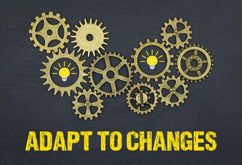 adapt to changes