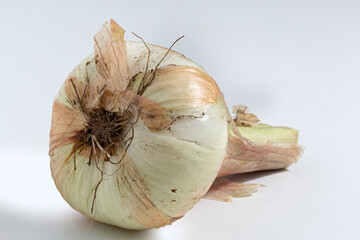 Cebolla cruda sobre fondo blanco.