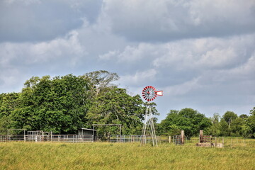 Austin Bayou Beauty