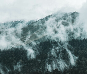 fog in the mountains