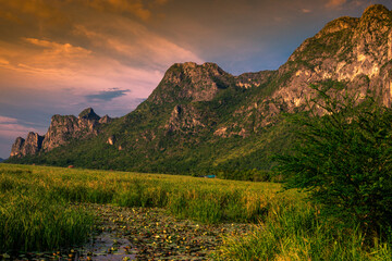 panoramic background of high mountain scenery, overlooking the atmosphere of the sea, trees and wind blowing in a cool blur, spontaneous beauty