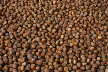 Close up hazelnuts. Hazelnut composition and backgorund. Turkish hazelnuts. organic natural food. close up art photo.