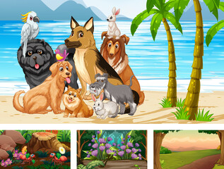 Four different nature horizontal scene