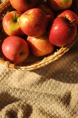 Harvest of red ripe apples in a straw basket. Washed fresh fruits on bedcover