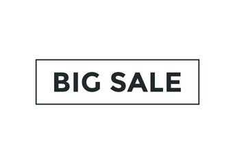 big sale web button. rectangle stroke template. white color text