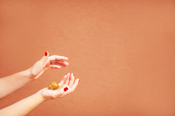 Obraz na płótnie Canvas Female hands and snail close-up and copy space on terracotta wall background. Skincare concept with cosmetics snail mucin...