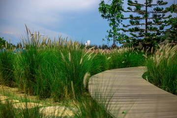 blurry abstract background of colorful meadows, a walkway to see the scenery, with a cool breeze blowing through while traveling