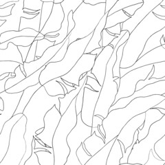 Foliage seamless pattern, hand drawn black and white banana leaves