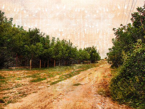 A dirt road among fruit trees. A farmer's orchard against a pink sunset sky. Autumn time. Harvest season. Digital watercolor painting.