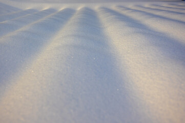 snow wave
