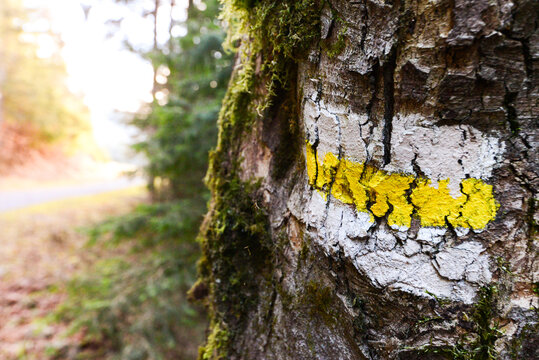 Yellow tourist mark in the slovak mountains with sunset light. Low Tatras,  Janks valley, Slovakia.