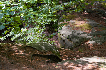 Fototapete bei efototapeten.de bestellen   