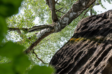 Fototapete bei efototapeten.de bestellen   