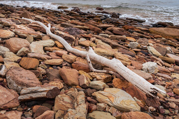 Driftwood washed up on rocks