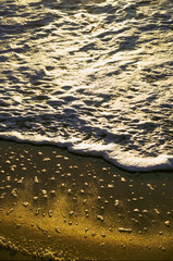 Gold at the beach. Golden sand. sunset on the ocean cast a gold light on the sand. patterns with the wave. golden texture.