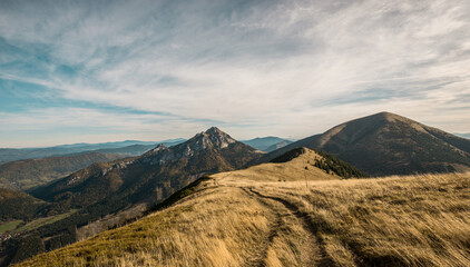 Obraz premium View from Mala Fatra national park. Panoramic mountain landscape in Slovakia near Terchova. Autumn colors of nature.