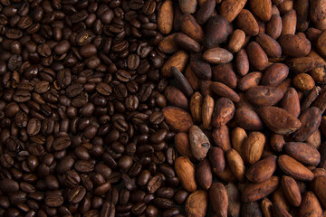 Mix of roasted coffee grains with unpeeled cacao grains