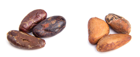 Close up of three refined and three unpeeled cacao grains isolated