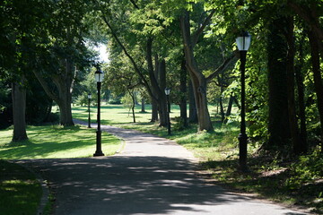 Deserted path in city park with black streetlamp in summer