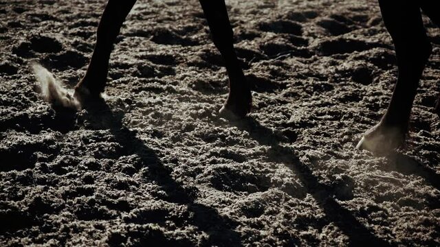 Summer sunset day at the ranch, mare raise dust with hooves. A woman in uniform learning how to ride a horse. Female rider on a horseback, equestrian sport. Active lifestyle, leisure activity Concept
