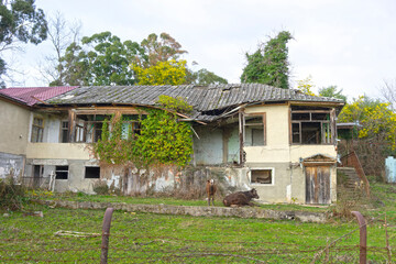 Fototapeta na wymiar A destroyed house in an Abkhazian village