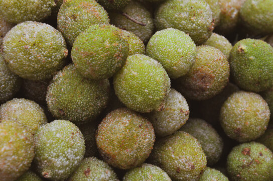 รูปภาพKhasi เลือกดูภาพถ่ายสต็อก เวกเตอร์ และวิดีโอ577 Adobe Stock