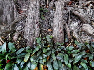 San Marcos Riverside