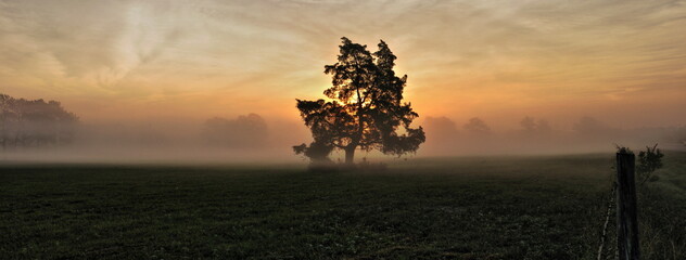 Tomball Sunris